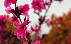 一夜两日初体验